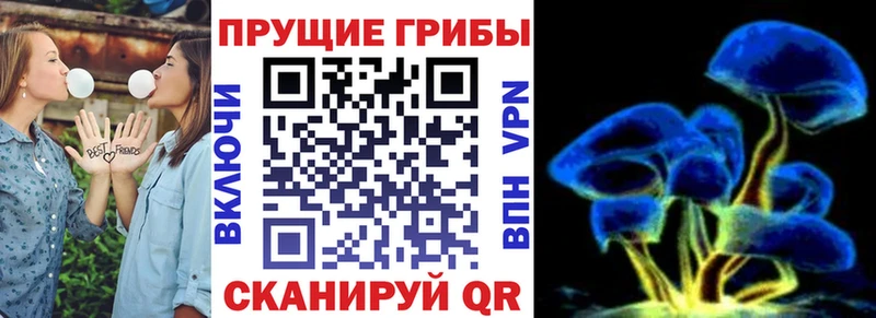 omg ТОР  Усмань  Галлюциногенные грибы GOLDEN TEACHER  купить наркотики сайты 