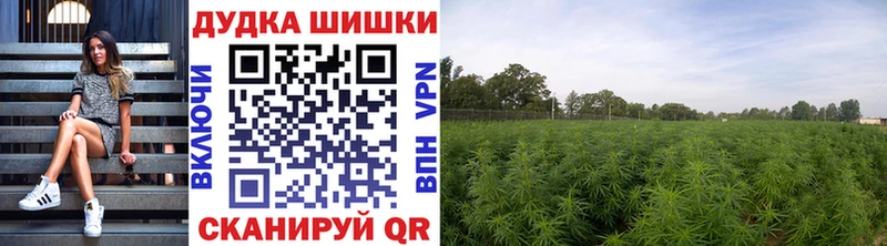 Бошки Шишки планчик  Усмань 